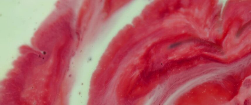 Macro Textures with Vibrant Neon Color Palette. Abstract Background Made with Oil Mixed with Dye, Ink, and Paint.