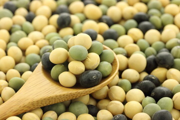 和食材の大豆
