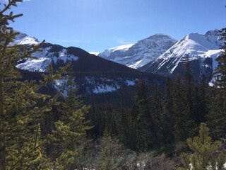 Scenic view of the Icefield Parkway