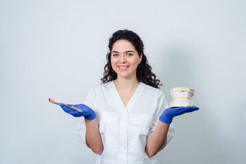 girl dentist holds a volumetric model of teeth and a toothbrush in her hands