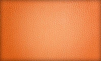 Brown leather background