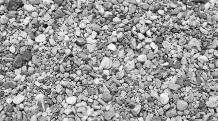 Small white stones