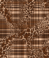 leopard and plaid pattern, colorful background