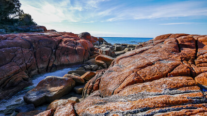 Orange rocks, Bay of Fires, Tasmania, Australia