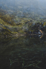 agua,  paisaje, naturaleza 
