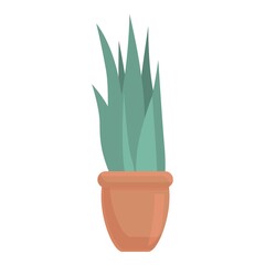 Plant pot icon. Cartoon of Plant pot vector icon for web design isolated on white background