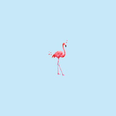 Flamingo