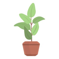 Fototapeta premium Ficus plant pot icon. Cartoon of Ficus plant pot vector icon for web design isolated on white background
