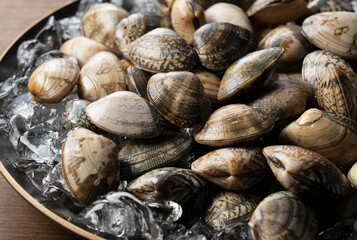 Ice and asari clams in a plate on a wooden background