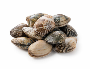 Asari clams on a white background