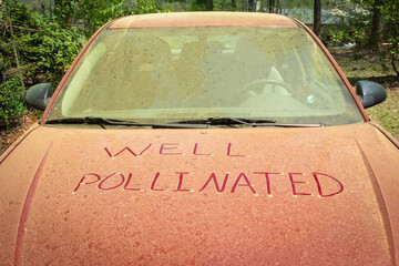A thick layer of pine pollen on a car hood during spring with a funny note written in it that could...
