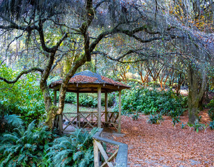 Beautiful wooden gazebo  under bare tree in autumn garden