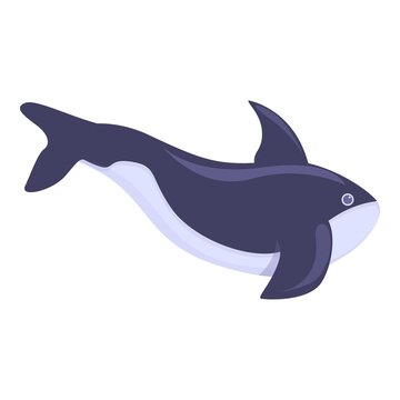 Killer whale aqua icon. Cartoon of Killer whale aqua vector icon for web design isolated on white background