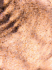 Beach Sand Background Showing Individual Grains