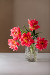 Glass vase with bouquet of beautiful tulips on pastel wall background.