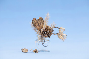 Wildflowers dried flowers in a small vase close-up on a blue background. An unusual bouquet of natural small dry forest flowers in a glass flask for design with copy space.