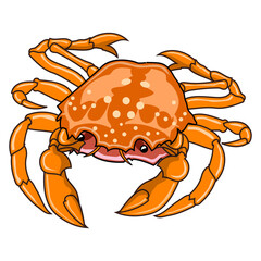 crab vector illustration,isolated on white background