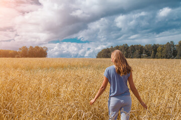 Fototapeta na wymiar Harvest: ripe wheat grows in the field. Golden grain anda girl walks across the field