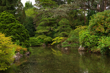 Fototapeta na wymiar garden with pond