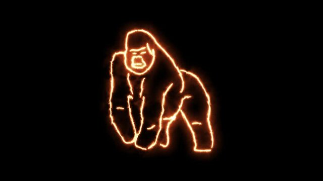 Gorilla outline of burning flames and gorilla in neon lights. Compilation of animation with monkey in fire and glow light effects.