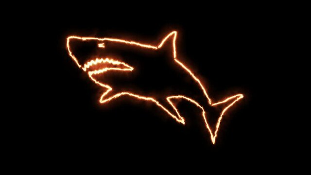Shark outline of burning flames and neon lights. Compilation of animation with shark fish in fire and glow light effects. White shark.
