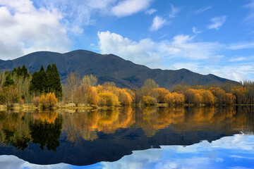 Yellow and orange forests in autumn reflect in still mirrored water, beautiful mountains and cloudy sky in rural New Zealand South Island, calm and refreshing atmosphere.