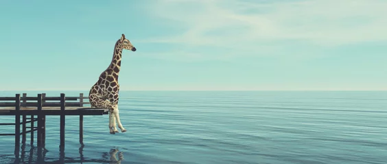 Foto op Plexiglas Giraffe sea © allvision
