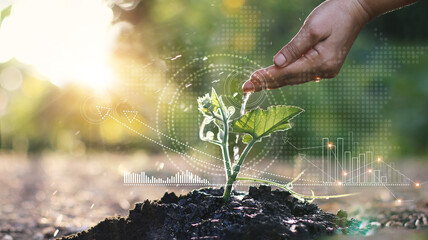 Business growth concept, Man watering young sprout with hand and  graph growth of business, Stock...
