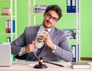 Young handsome lawyer working in the office