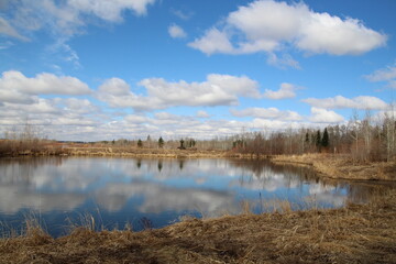 Calm April Day, Pylypow Wetlands, Edmonton, Alberta