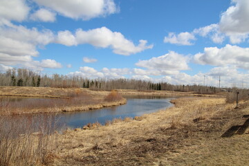 Spring On The Land, Pylypow Wetlands, Edmonton, Alberta