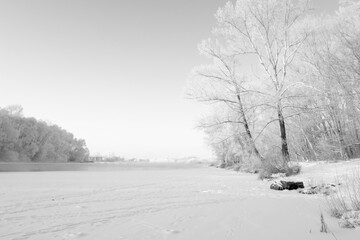 winter landscape with river and plants