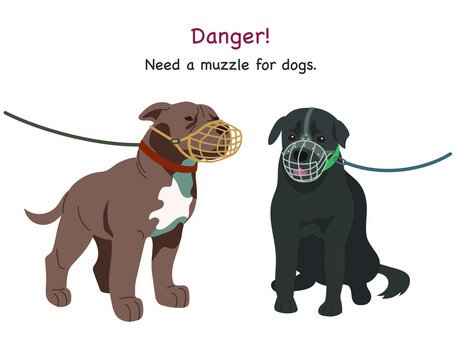 The fierce dog is wearing a muzzle. hand drawn style vector design illustrations. 