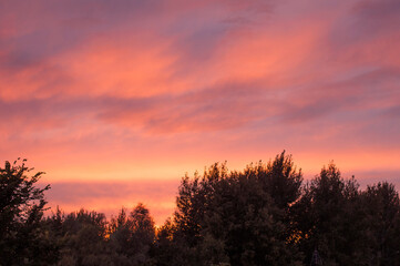 sunset over the forest