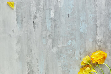 Background white-gray-blue concrete texture with yellow flowers in high resolution