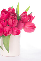 Bouquet of pink tulips on a light background