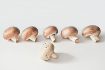 royal and white mushrooms. champignons as vegan meal protein source. high fibre food. selective focus