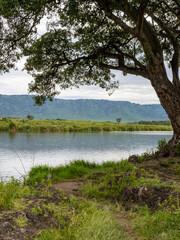 Fototapeta na wymiar Ngorongoro Crater, Tanzania, Africa - March 1, 2020: Calm lake in Ngorongoro Crater