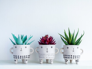 DIY cute ceramic plant pot on white wall background