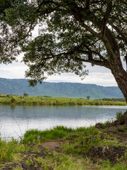 Ngorongoro Crater, Tanzania, Africa - March 1, 2020: Calm lake in Ngorongoro Crater