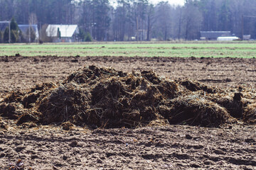 Pile of manure on plowed field in village in spring, with houses in the background