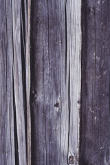 Background texture. Aged brown surface of log house, copy space. Vertical