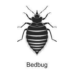 Bedbag vector black icon. Vector illustration pest insect bedbag on white background. Isolated black illustration icon of pest insect.
