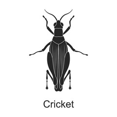 Cricket vector black icon. Vector illustration pest insect cricket on white background. Isolated black illustration icon of pest insect.