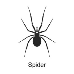 Spider vector black icon. Vector illustration pest insect spider on white background. Isolated black illustration icon of pest insect.