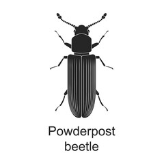 Powderpost beetle vector black icon. Vector illustration pest insect powderpost beetle on white background. Isolated black illustration icon of pest insect.