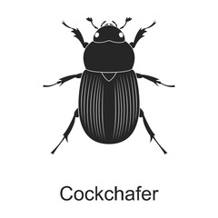 Cockchafer vector black icon. Vector illustration pest insect cockchafer on white background. Isolated black illustration icon of pest insect.