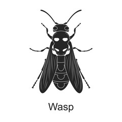 Wasp vector black icon. Vector illustration pest insect wasp on white background. Isolated black illustration icon of pest insect.