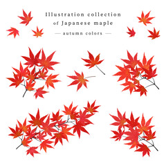 紅葉したモミジの枝葉　イラストセット（水彩画風加工）