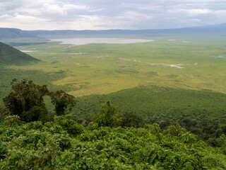 Fototapeta na wymiar Ngorongoro Crater, Tanzania, Africa - March 1, 2020: Scenic view of Ngorongoro Crater from above